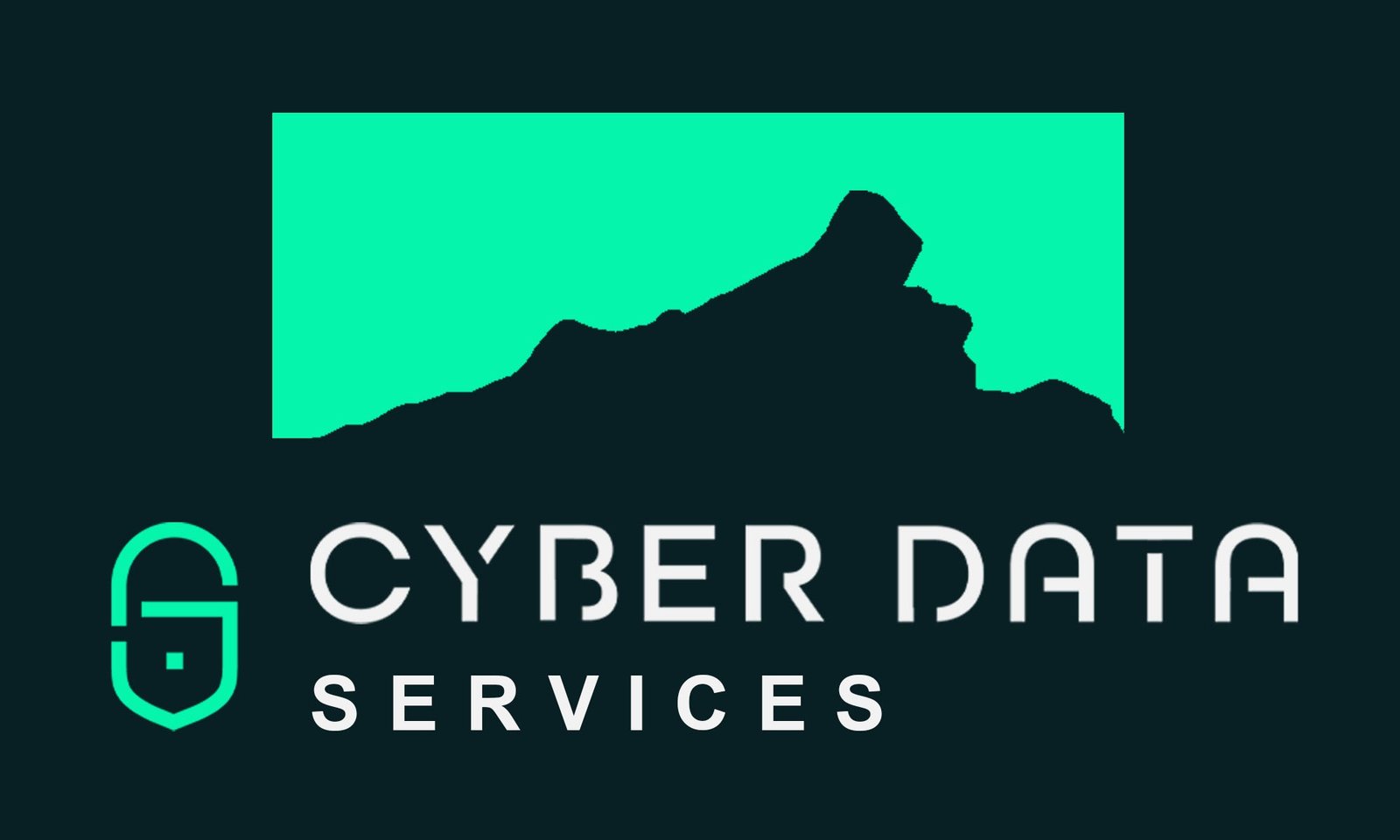 Cyber Data Services Logo