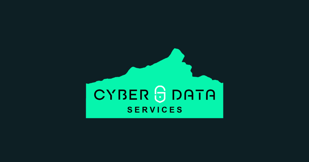Cyber Risk: A Board-Level Priority